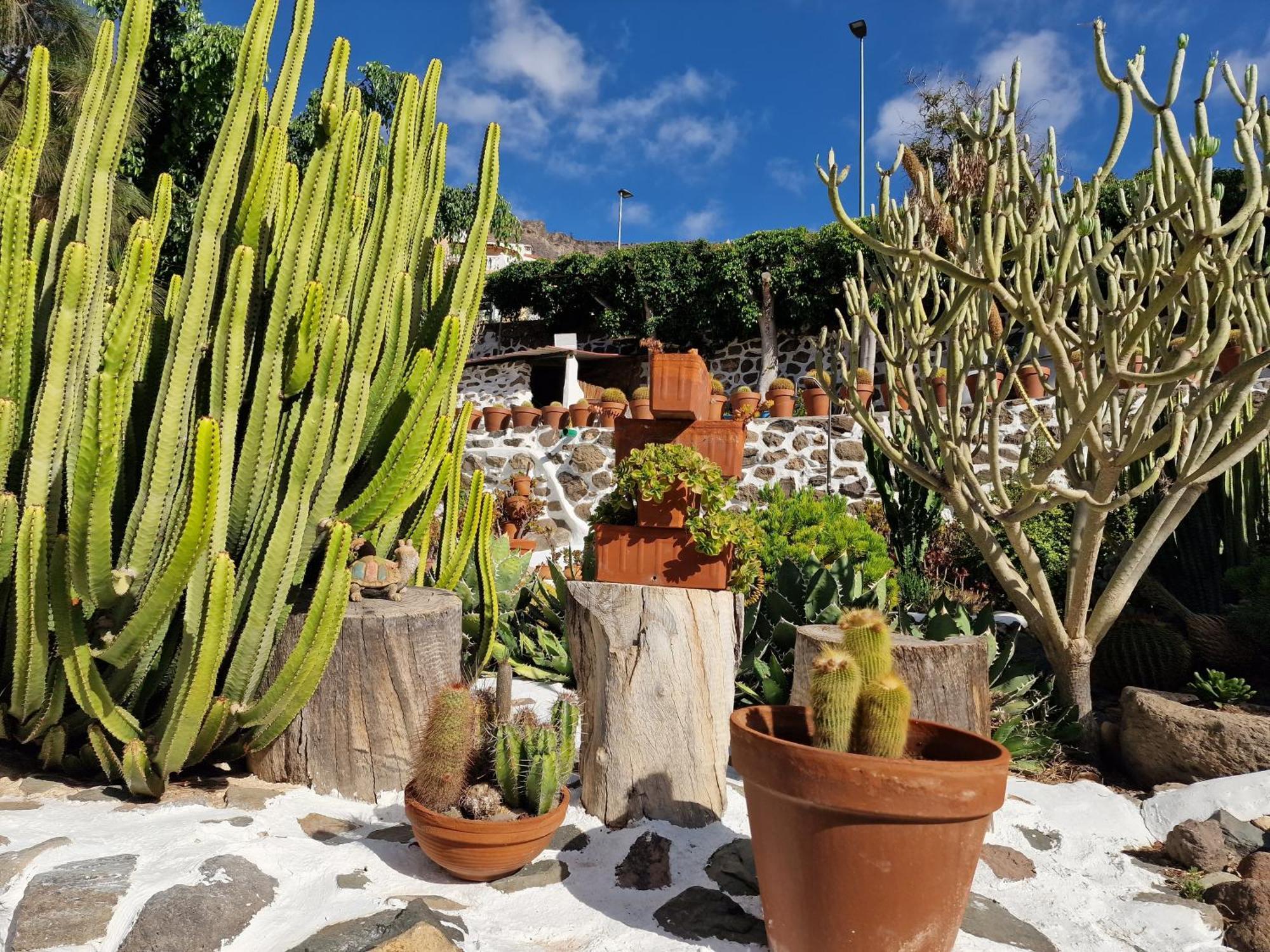 Mogán Historica Casa Con Vistas Al Jardin De Cactus Y Montanas 빌라 외부 사진