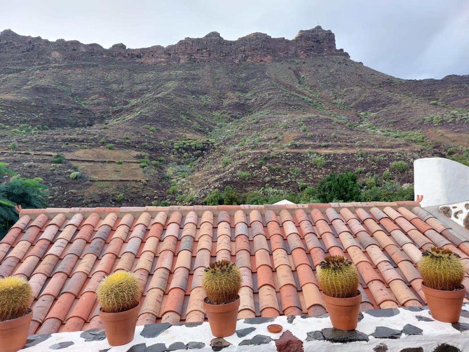 Mogán Historica Casa Con Vistas Al Jardin De Cactus Y Montanas 빌라 외부 사진